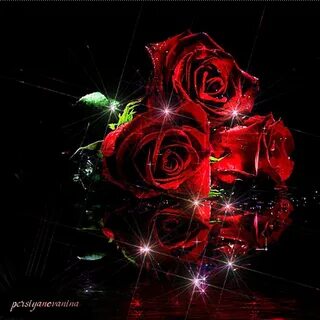Открытки открытки с красными розами открытки с красными роза