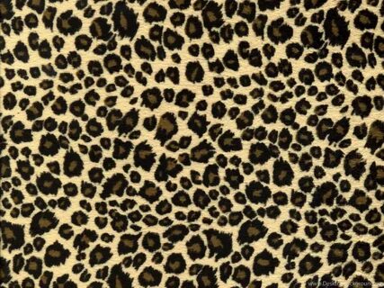 Leopard Print Wallpapers Best Car 2015 Desktop Background