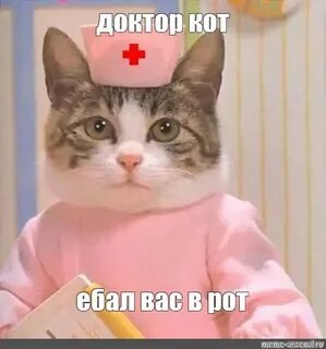 Meme: "доктор кот ебал вас в рот" - All Templates - Meme-ars