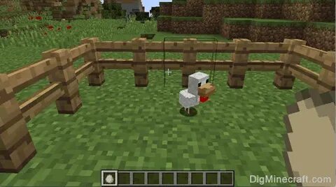 How To Breed Chickens In Minecraft Pe