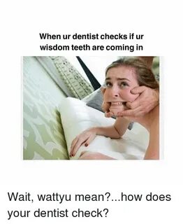 🔥 25+ Best Memes About Wisdom Teeth Wisdom Teeth Memes