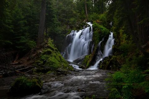 Скачать обои лес, река, водопад, Орегон, каскад, Oregon, Nat