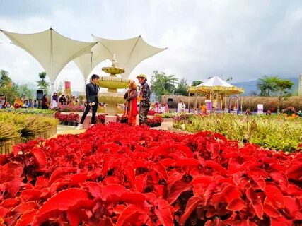 Fairy Garden Bandung: Wisata Edukatif Seperti di Negeri Dong