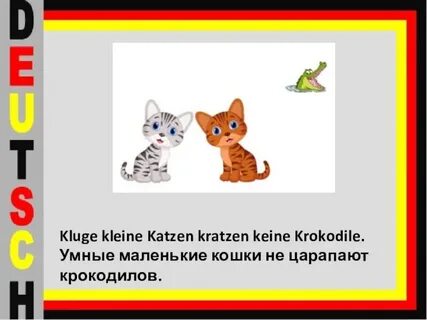 Kleine kutten