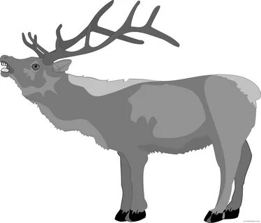Christmas Reindeer Clipart - Clip Art Deer - Png Download - 
