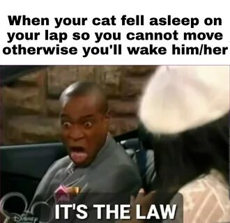 But he looks cute sleeping tho UwU /r/wholesomememes Wholeso