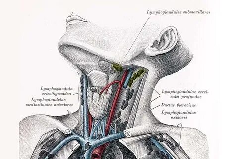 Ost Session Aktivierung geschwollener lymphknoten hals links
