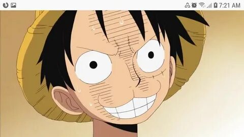 I don't get this face luffy kinda look like a pussycat One P