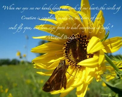 Sunflower Background With Quote / Find the greates flower wa