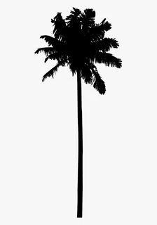 Palm Tree Silhouette Png - Hd Palm Tree Silhouette, Transpar