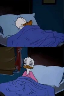 donald duck waking up Latest Memes - Imgflip