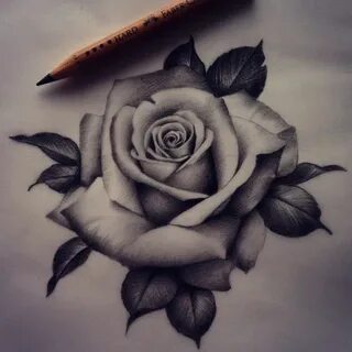 Realistic Rose - SkillOfKing.Com