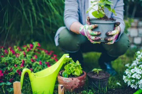 5 Back Tips for Spring Gardening Virginia Spine Institute