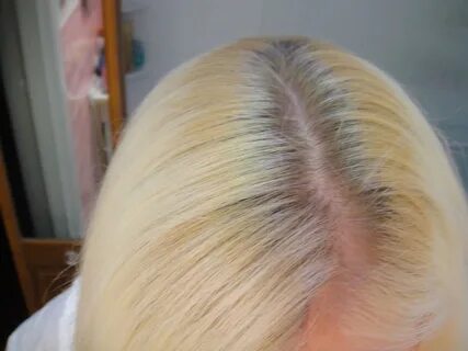 Ion Color Brilliance Hi-lift Ash Blonde - A Beauty and The B