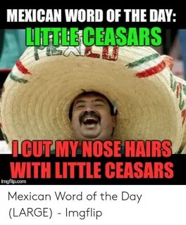 🐣 25+ Best Memes About Mexican Word of the Day Meme Mexican 