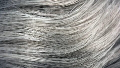 Текстура седых волос - 31 фото