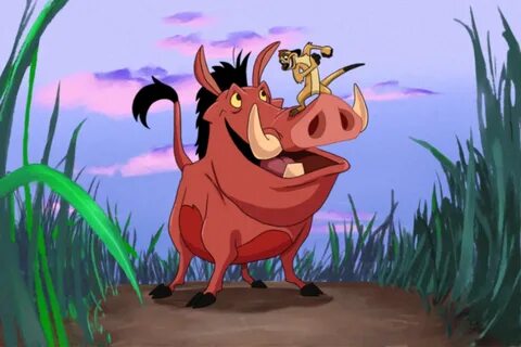 Beautiful Picture Of Timon And Pumbaa - DesiComments.com