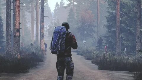 Dayz Wallpapers * TrumpWallpapers