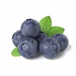 obj bluberries blueberry Blueberry, Bluberries, Beautiful fl