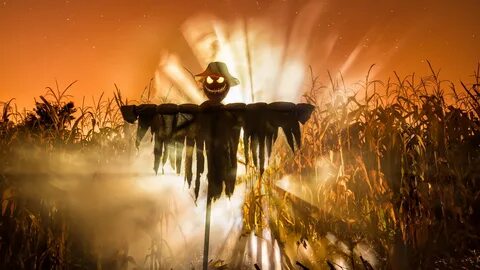 Скачать обои праздник, Halloween, Lord of the Corn, раздел п