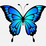 Бабочка Насекомое Цвет, бабочка, синий, кисть Footed Butterf