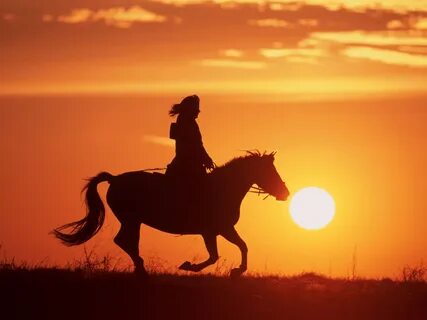 Woman riding Konik horse at sunset, North Rhine-Westphalia, 