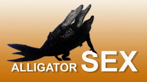 Alligator Sex 04 Reverse - YouTube