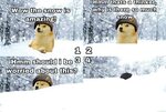 Ice Storm Meme - Captions Blog