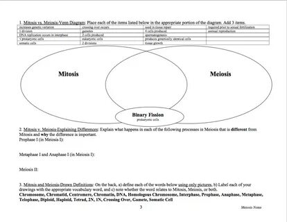 Gallery of mitosis vs meiosis key differences chart and venn