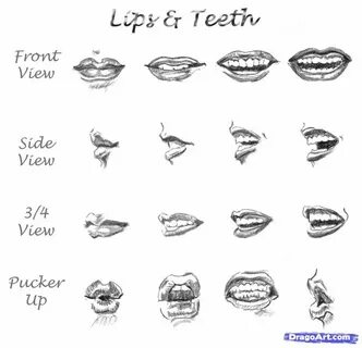 How To Draw A Nose And Lips Draw realistic lips, Lips drawin