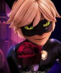 Pin by Kailie Butler on Miraculous Miraculous ladybug movie,