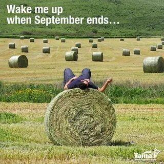 Wake me up when September ends... #agriculture #humor Farm h