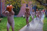 Pumpkin run pictures of naked pumpkin head Halloween fun Sto