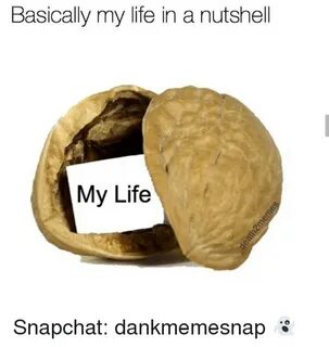 Basically My Life in a Nutshell My Life Snapchat Dankmemesna