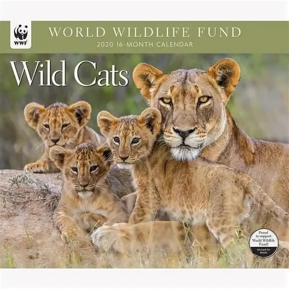 Wild Cats 2020 Calendar - WWF Wild cats, Cat calendar, Cats