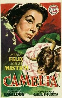 Camelia (1954) esp. tt0045593 P. Afiche de pelicula, Cartele