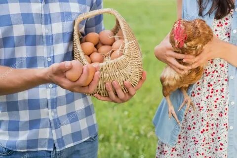 Happy farmers holding chicken and eggs Stock Photo by © Wave