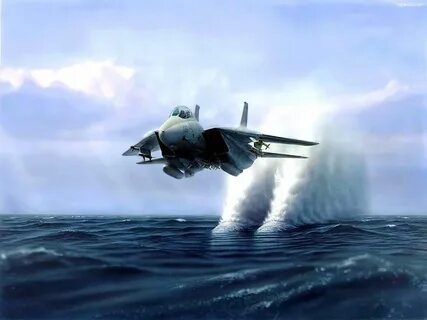 F-14 Tomcat Fighter jets, Fighter planes, Fighter aircraft