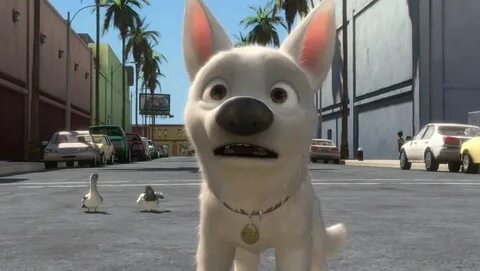 9 Things You Didn't Know About Bolt Bolt disney, Disney dogs