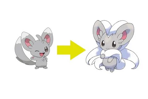 Pokémon Go: cómo capturar a Minccino, el pokémon chinchilla 