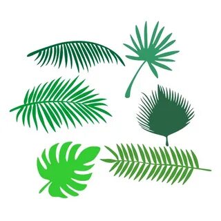Clipart, tropical, palm, resulution - 600x600, filesize - 14