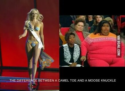 Camel toe/moose knuckle - 9GAG