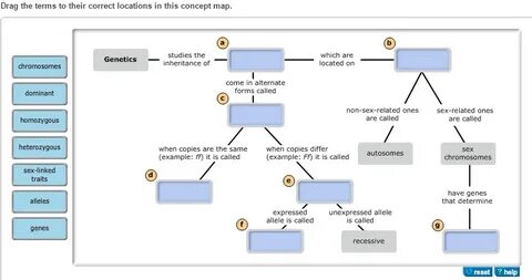 Solved Drag the terms to their correct locations in this Che