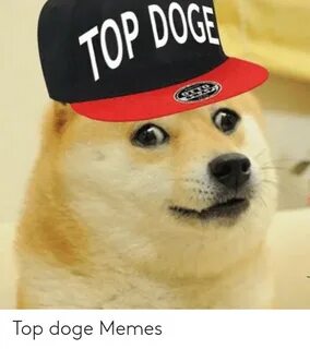 ✅ 25+ Best Memes About Top Gun Hat Meme Top Gun Hat Memes