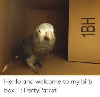 Henlo and Welcome to My Birb Box PartyParrot Box Meme on aww