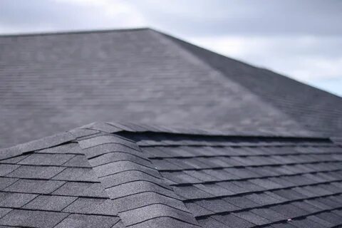 TDF Blog - Sharing Everything in 2022 Roof shingles, Roof, Roof design