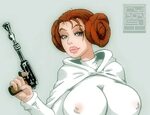 Erotic STARWARS - Princess Leia Organa 11 - Photo #16