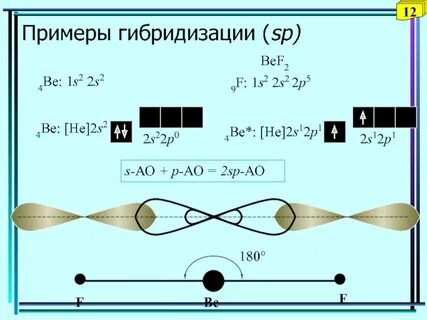 Уральский государственный аграрный университет д.х.н., проф.