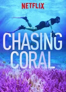 Check out "Chasing Coral" on Netflix (With images) Netflix, 