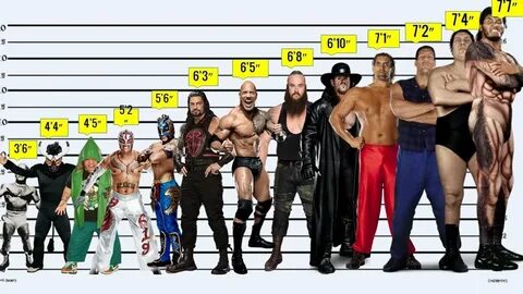 WWE WRESTLERS HEIGHT Comparison From SHORTEST to TALLEST - Y